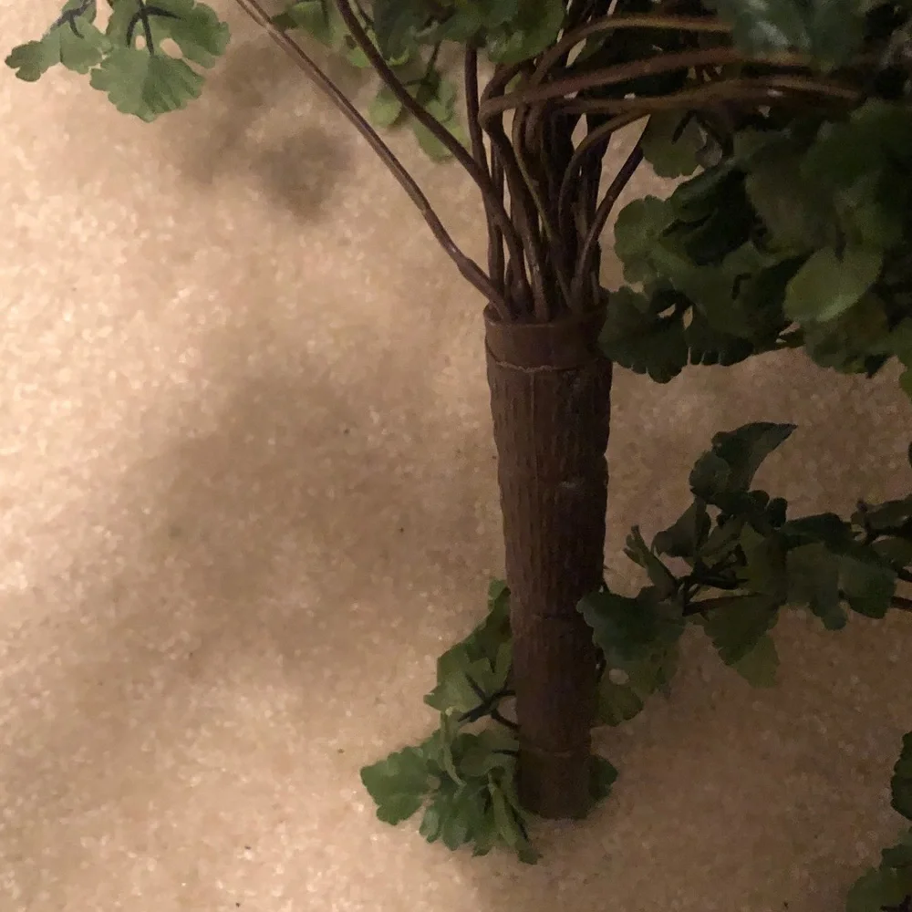 Trailing green plant